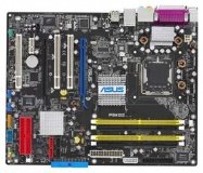 Asus P5WD2 Standard